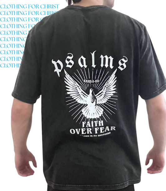 The Psalms T-shirt ™️